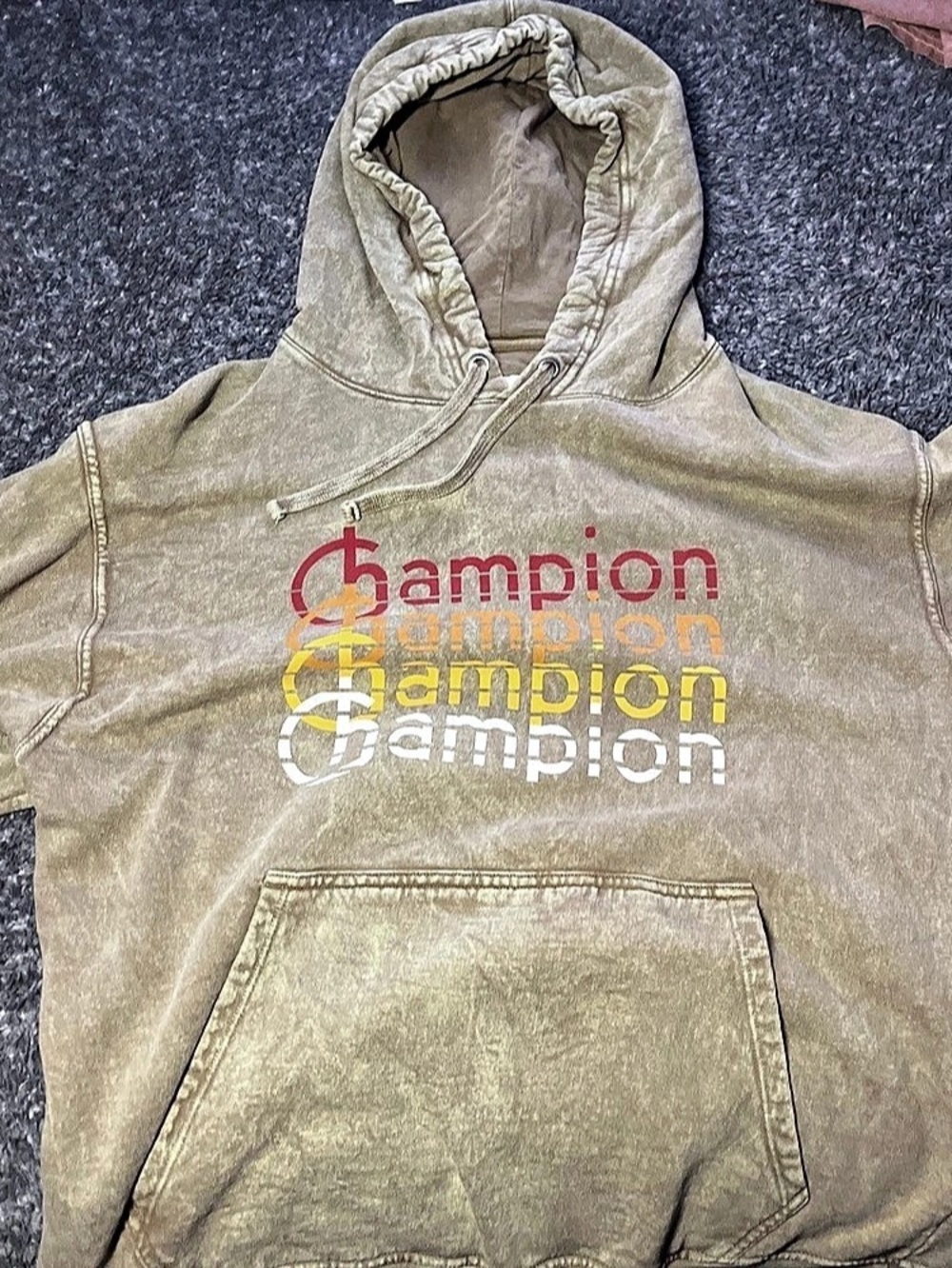 Champion Pullover Hoodie in Brown